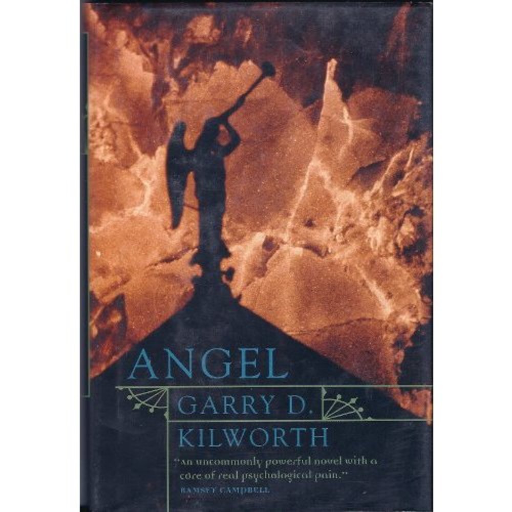 Angel (Hardcover)